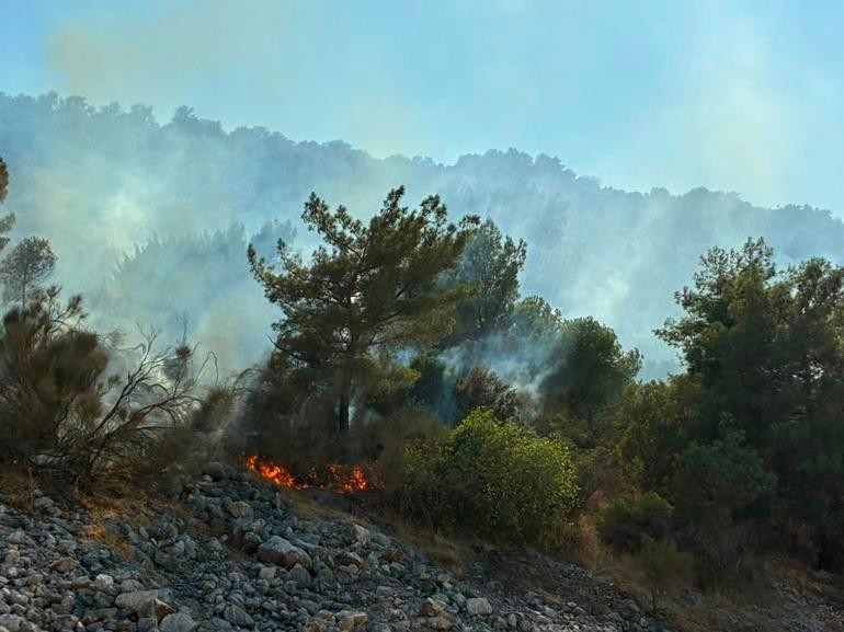 Antalya'nın 2 ilçesinde orman yangını