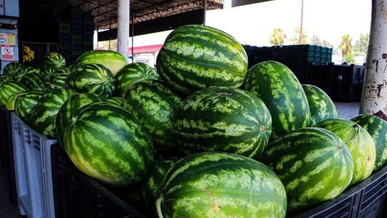 Adana'da kilosu 5 TL'ye düşen karpuz, marketlerde 17 TL