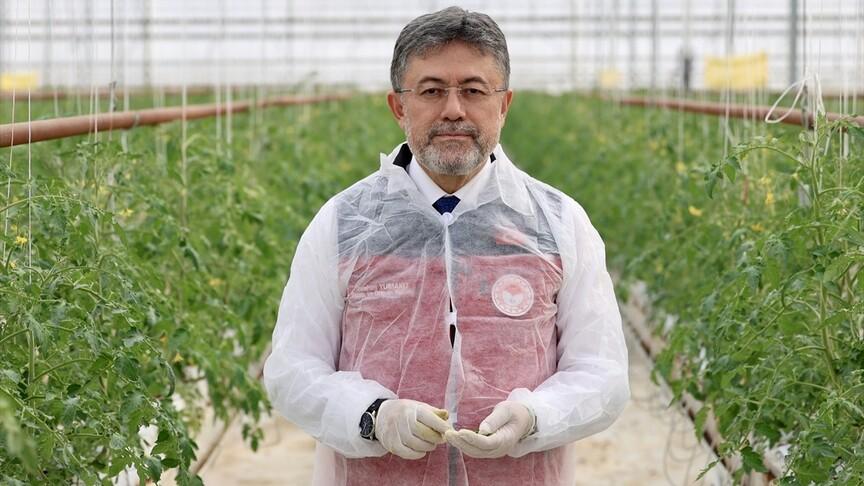 Yumaklı: Türkiye örtü altı üretimde dünyada 4., Avrupa'da 2. sırada