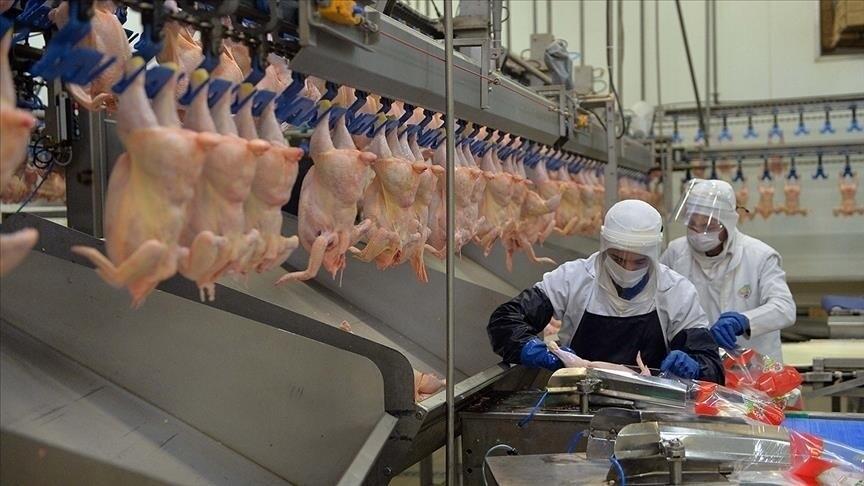 Haziran ayında dış ticaret endeksleri yüzde 12'nin üzerinde arttı