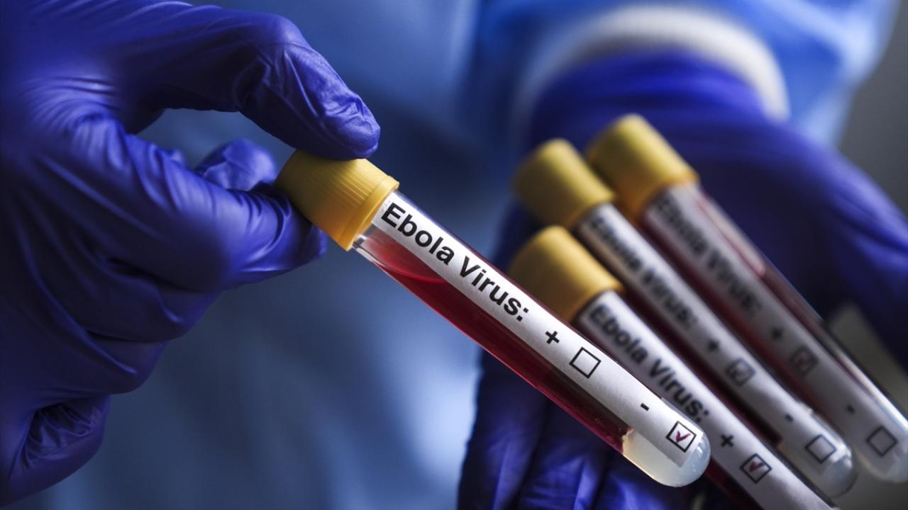 KDC'de Ebola salgınında can kaybı 3 bin 95'e ulaştı