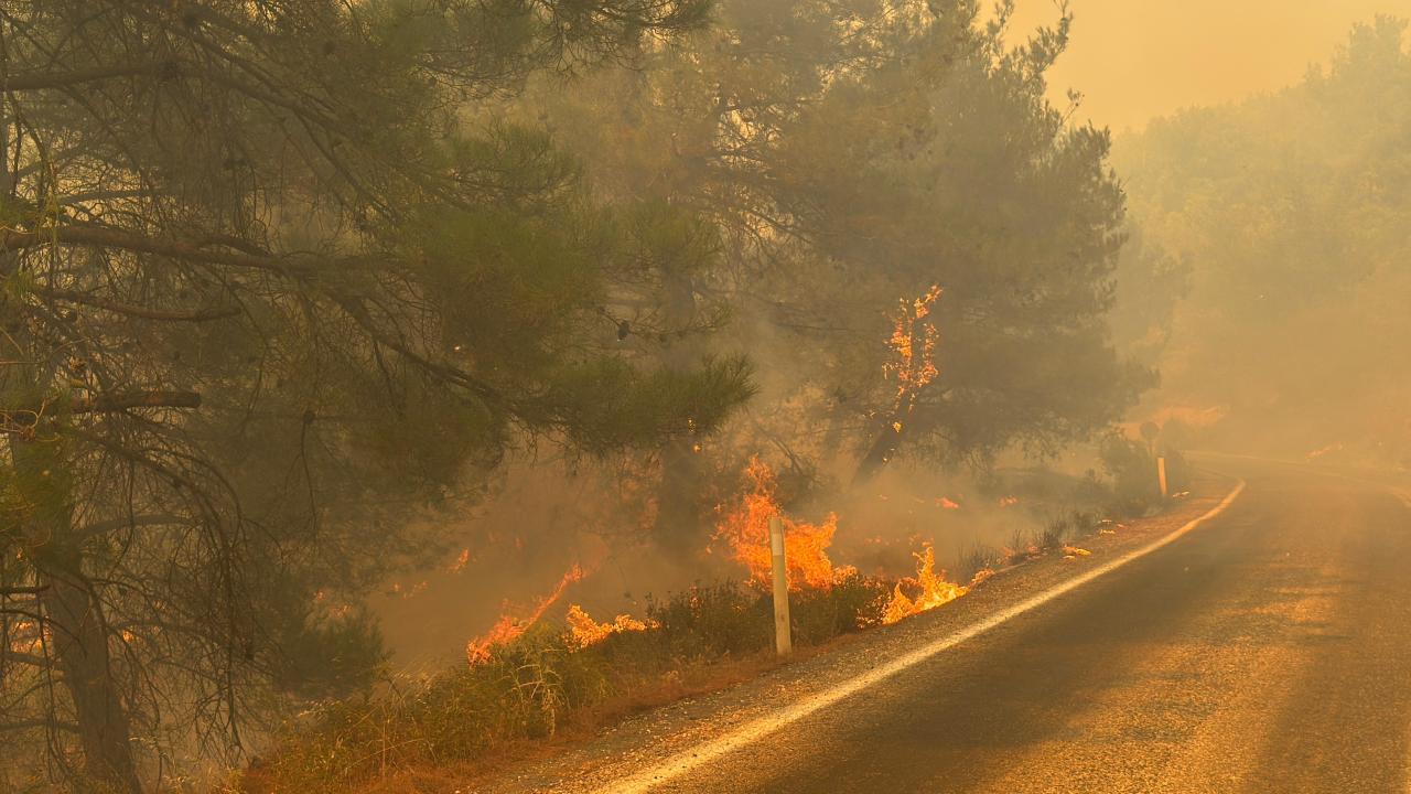 Orman yangınlarıyla ilgili 12 şüpheli tutuklandı