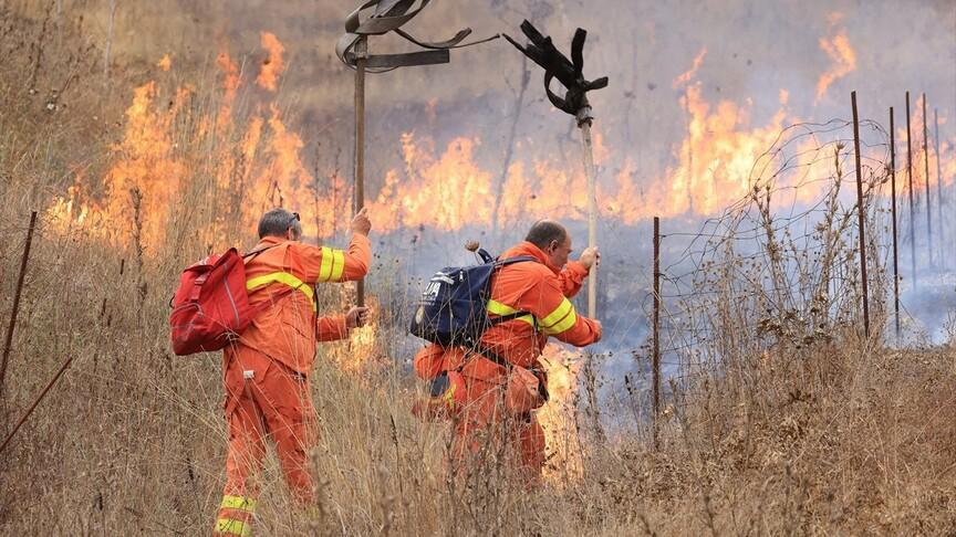 İtalya'da Sicilya ve Sardinya adalarında orman yangınları