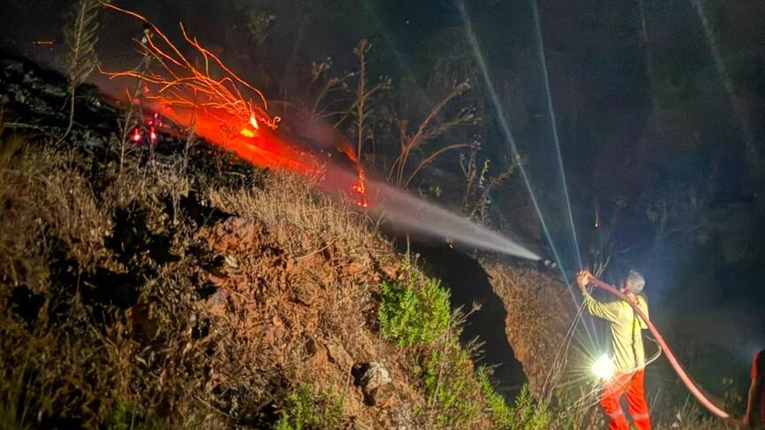 Antalya'nın Gazipaşa ilçesinde orman yangını çıktı