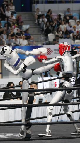 Robot boks maçında nakavt oldu, rakibi zafer dansı yaptı