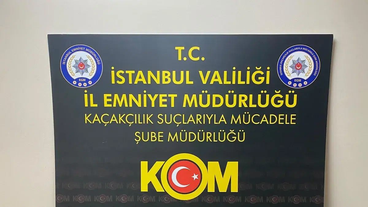 Beykoz'da tarihi eser kaçakçılığı operasyonu: 402 parçaya el konuldu