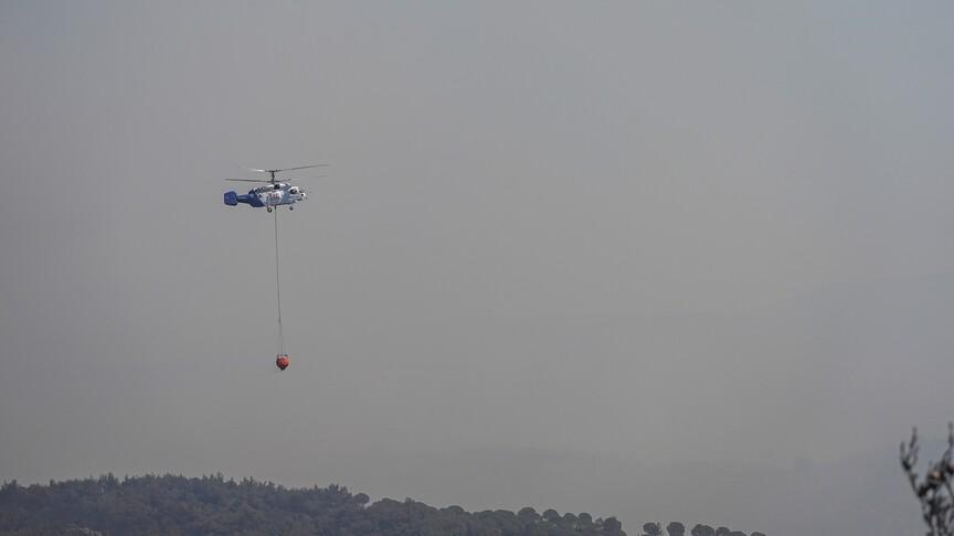 Balıkesir Edremit'te orman yangını: Havadan ve karadan müdahale