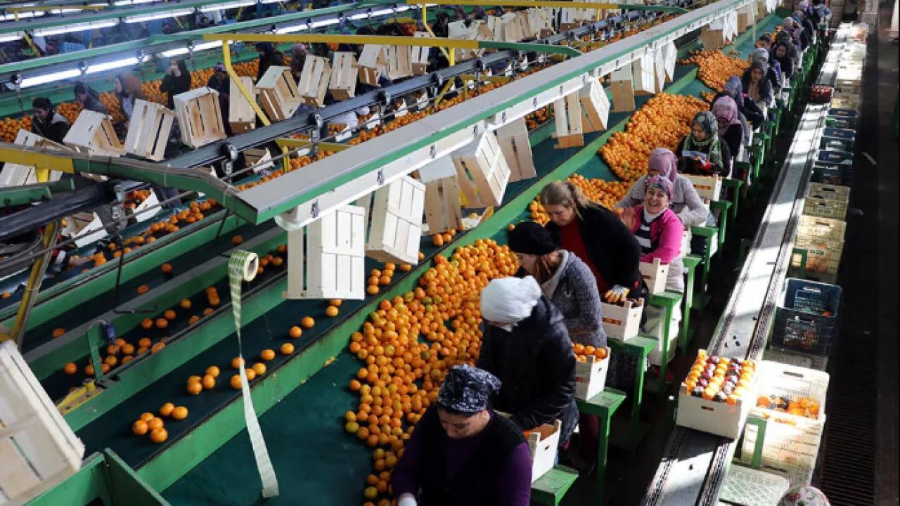 Türkiye'nin 9 aylık ihracatı 211 milyar dolarla rekor kırdı
