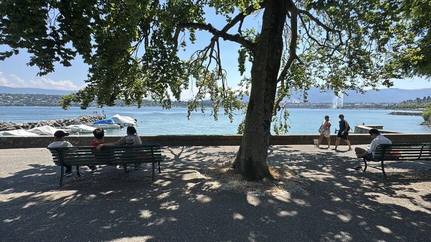 İsviçre'de Sıcak Hava Dalgası: Kırmızı Alarm Verildi