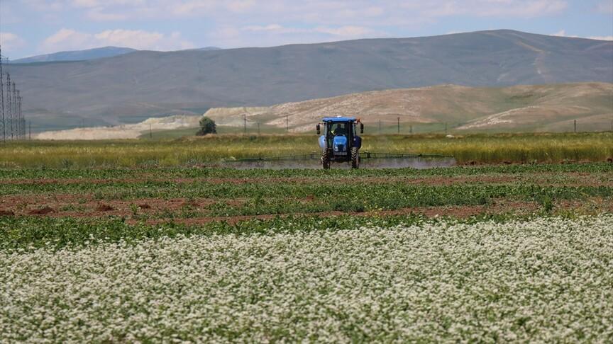 Erzincan'da alternatif tarım ürünleri verimde yüzde 30 artış sağladı